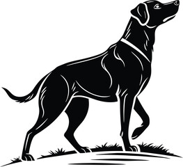 Standing Dog silhouette, Dog vector, Dog standing icon