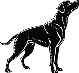 Standing Dog silhouette, Dog vector, Dog standing icon