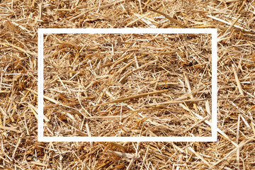 Hay texture. Close-up of a pile of golden yellow hay. Straw for background. Hay is tightly bound into a bale