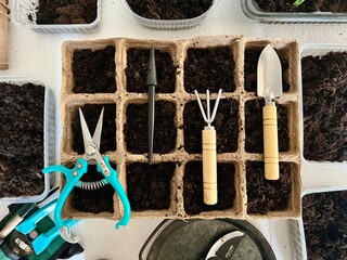 Planting seeds in the soil for seedlings. Garden tools and pots for seedlings on the table flat layout top view.