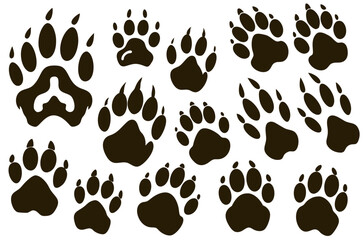Fototapeta premium Several bear paw prints are displayed on a white background, showing claws, traces, and steps, creating a pattern that evokes wildlife and the presence of a large animal