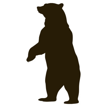 Silhouette of a large brown bear standing on its hind legs, looking up with its front paws raised, isolated on a white background, conveying strength and alertness