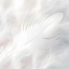 Obraz premium A white feather with a black tip