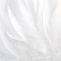 A white feather with a black tip