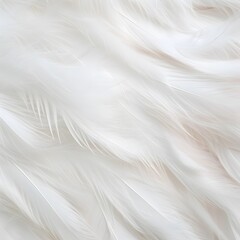 Obraz premium A white feathery texture with a lot of white feathers