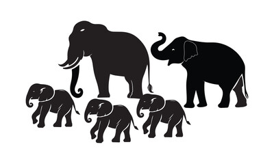 elephants on a white