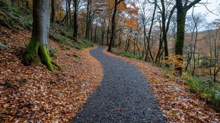 The pathway meanders through a tranquil forest adorned with vibrant autumn leaves. Sunlight filters through the trees, creating a serene atmosphere