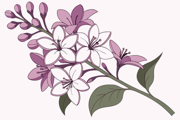 vector illustration of a pink flower