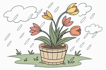 bouquet of tulips