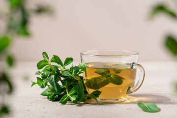 Fresh hot tea from green mint leaves in glass mug on beige background. Herbal healthy drink in cup