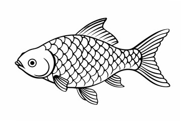 fish vector illustration