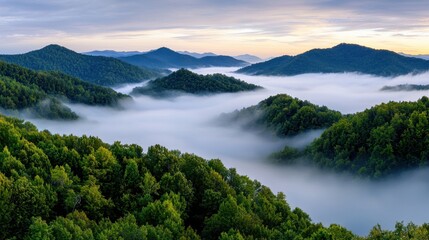 A tranquil mountain landscape unfolds at dawn, featuring cascading hills enveloped in mist. Lush greenery dominates the scene, creating a peaceful atmosphere