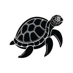 turtle vector illustration