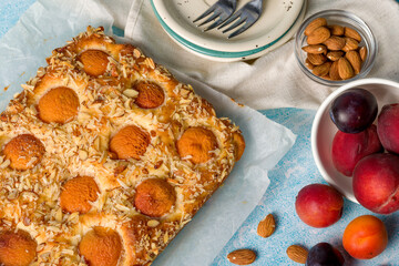 Cottage cheese pie with apricot and plum