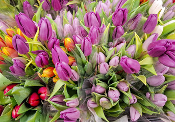 Bouquets of tulips of various colors