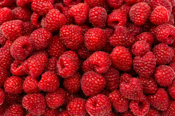 Tasty fresh raspberry as a background.