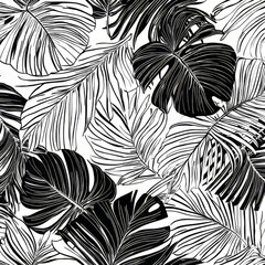 A sleek black-and-white leaf illustration featuring intricate outlines of tropical leaves like monstera and palm fronds. The contrast between the detailed illustrations and the simple monochrome