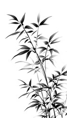 Obraz premium Abstract Bamboo Silhouette Against White Background