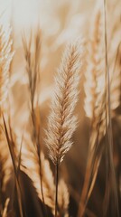 Obraz premium Nostalgic Film Grain Aesthetic Wallpaper – Soft Retro Glow Background for a Vintage-Inspired Phone Design