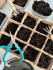 Planting seeds in the soil for seedlings. Garden tools and pots for seedlings on the table flat layout top view.