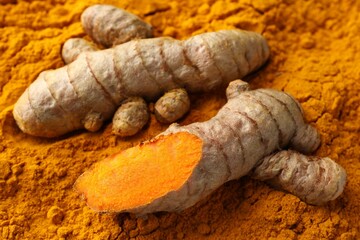 Fresh turmeric roots on aromatic powder, closeup