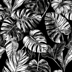 A monochrome tropical plant illustration featuring highly detailed hand-sketched leaves of banana, palm, and monstera. Elegant black and white contrast adds a sophisticated touch, perfect for modern