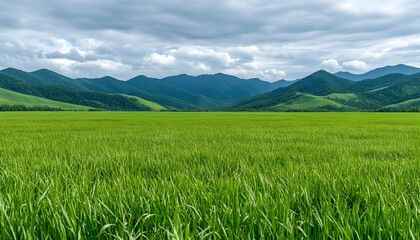 Obraz premium Green field under cloudy sky with distant mountains in serene landscape. Generative AI