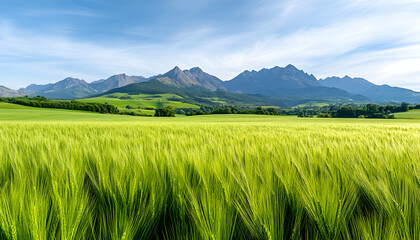 Obraz premium Green crops grow on the valley floor surrounded by mountains on a sunny day. Generative AI