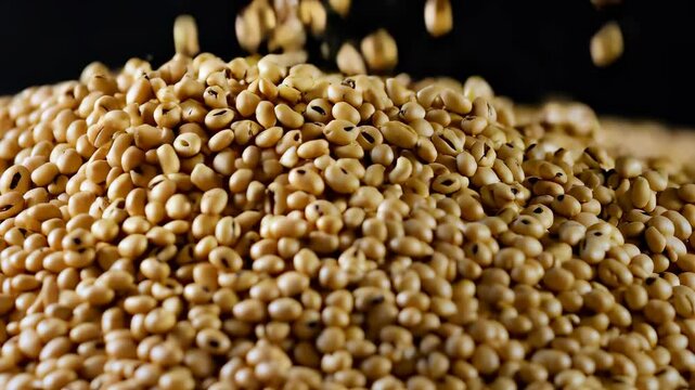 Grains Falling onto a Pile