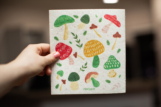 a hand holding a Recyco Reusable Dish Cloth with mushrooms 