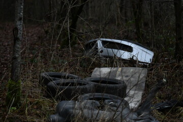 Nature Overtaken by Human Neglect
