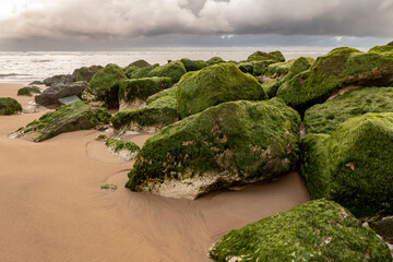 moss rocks at the ocean sand beach