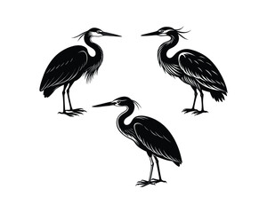 heron bundle set on a white background