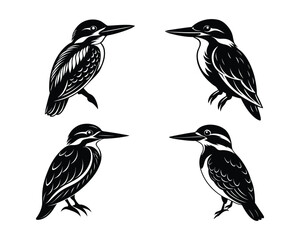 set of birds silhouette design