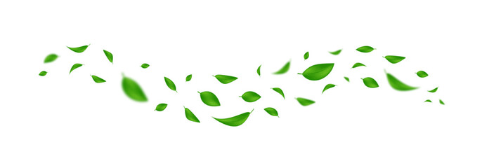 Green flying leaves. Falling leaves. Leaf falling llustration. Realistic leaves illustration