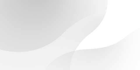 Abstract minimalist white and gray curve modern background. texture white pattern. vector illustration