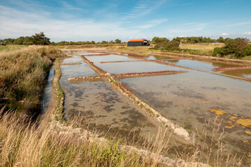 salt fields salinen in france with sea water to dry salt production