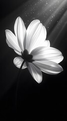 White and Neon Flowers, on Black Background, Abstract Image, Texture, Pattern Background, Wallpaper, Cover and Screen of Smartphone, PC, Laptop, 9:16 and 16:9 Format