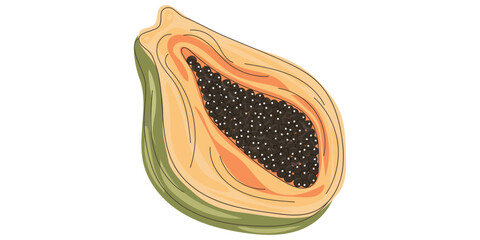 Doodle Papaya design. Delicious tropical fruit. Colorful Hand drawn vector illustration for cards, business, banners, textile, wallpaper, wrapping in orange, yellow, green and black colours