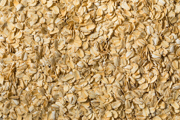 Organic Dry Rolled Oatmeal Oats