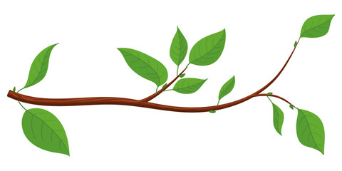 brown color tree branch with green leaves vector illustration