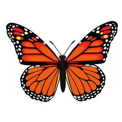 Orange color butterfly vector illustration