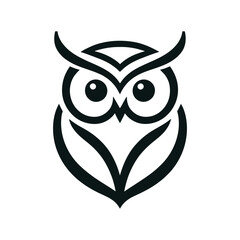 black and white owl with wings
