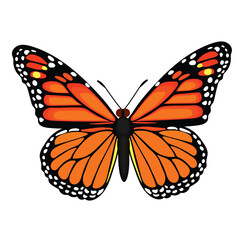 Orange color butterfly vector illustration.eps