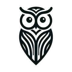 owl on white background