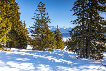 Randonnée dans la neige avec vue sur le Mont Blanc