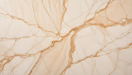 Dark veined marble with bold white streaks perfect for luxurious decor