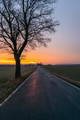Fototapeta premium leere Landstraße im Sonnenaufgang