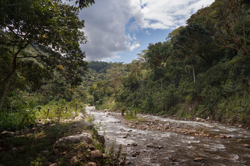 Crystal-clear river in the Peruvian jungle