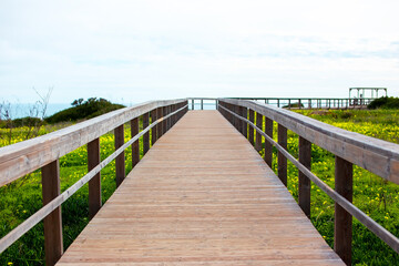 Obraz premium Wooden walkway leading to the beach with yellow flowers and blue sky